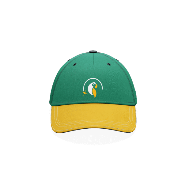 Baseball Hat